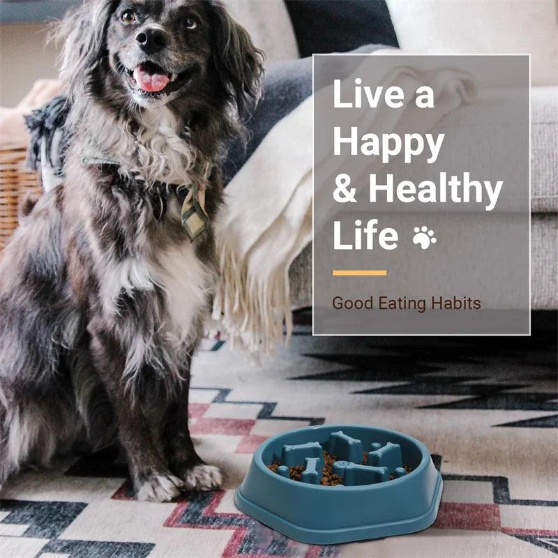 Tigela de comida anti-asfixia para cães, Alimentadores lentos para cães, Alimentador para animais de estimação dieta saudável